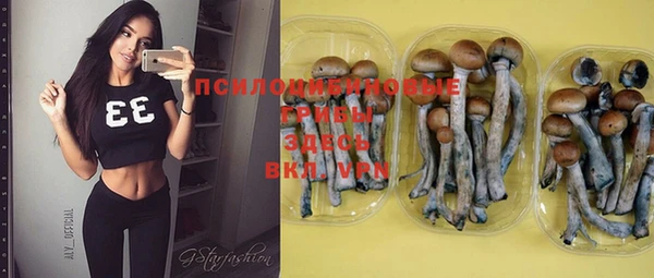 бошки Магадан
