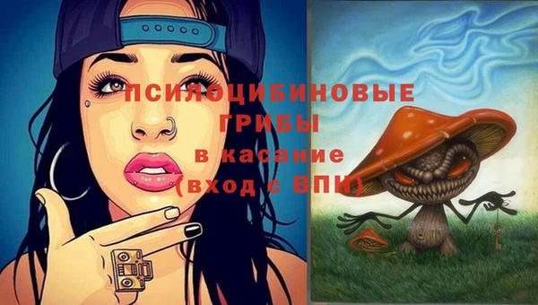 ECSTASY Майский