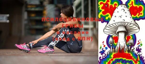 дмт Лиски