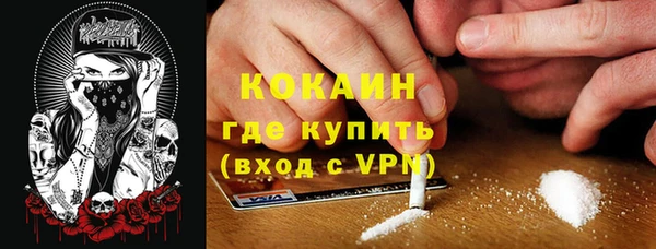 дмт Лиски