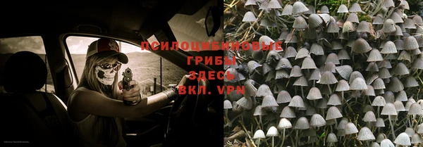 бошки Магадан