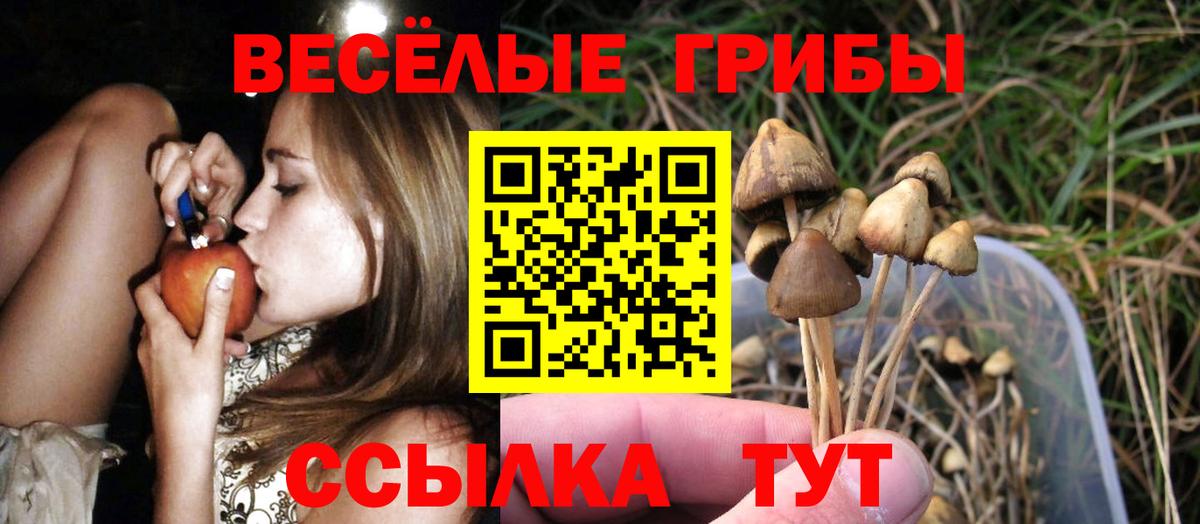 Черкесск  Галлюциногенные грибы MAGIC MUSHROOMS  Вход с VPN 